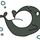 시티오건축사사무소