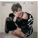 윤복희콘서트 Daum카페