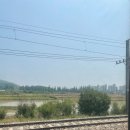 무궁화양과점 | 예산 시장 임시장터 평일 방문 여행기 | 리코 CX6
