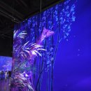 부산갈메기 | [부산] 오백년만의 부싼갈메기~ 영도 광안리 해운대 가볼만한곳(feat.켄트)