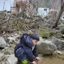 피노키오관광농원 이미지