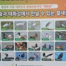 떼까마귀게스트하우스 이미지