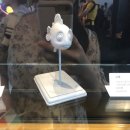 주식회사 거보
