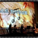 주식회사 라라랜드컴퍼니 네이버블로그