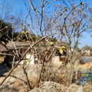 복2리경로당 이미지