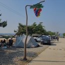 백미리 희망캠핑장 이미지