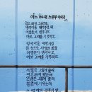 창녕저장양파 9월달 추석이후 판매 하겠습니다 이미지