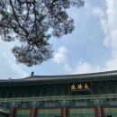 용화 유치원 | 인천 주안 용화선원: 도심 속 평화의 요람과 한국 불교의 현대적 변용