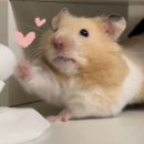 카페세모 이미지