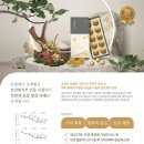 광동한방유통