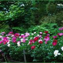 원요진농장 이미지