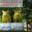 연화불교사 이미지