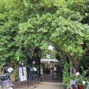 펀포레스트 이미지