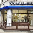 멍멍살롱 이미지