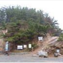 솔향기하우스 이미지