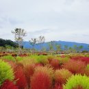 황산공원 캠핑장 1번 이미지