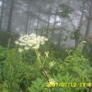 삼수령목장 이미지