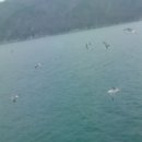 한국폴리텍 IV 대학 청주캠퍼스 이미지