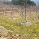 뉴한길공인중개사사무소 이미지