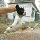 구만리로 1 이미지