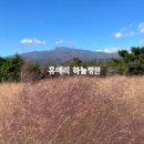 신례동로 이미지