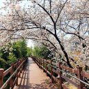 금호강 둔치 축구장 이미지