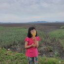 선두바다캠핑장 이미지