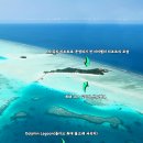 해양코리아(주) | [공지] 몰디브 2026 신상 럭셔리 리조트 라 길리 1박 $999~ 다신 없을 미친 공동구매 (10커플 한정...