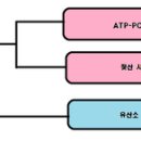 바른에너지