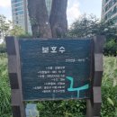 서빙고(근린공원) 이미지