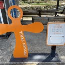 주천면 벚꽃길 이미지