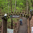 제천 월악산 악어봉 제비봉 4월 등산 후기