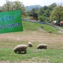 용인축산업협동조합한우랜드 이미지