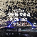 노원평생교육원 강당(2층) | 벚꽃 야경이 아름다운 숨은 산책코스, 비다아로마 뒷길 추천! 망월사역 앞 공방, 출 퇴근길이 바로 벚꽃...