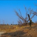 서천향교 이미지