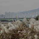 백발은 노인의 면류관 이미지