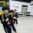 흑추관 슈퍼K 합기도스쿨 | 제33회 흑추관 슈퍼K합기도스쿨 승급심사