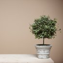 전찬일한의원 이미지