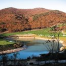 에덴밸리리조트 콘도 이미지