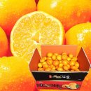 오부자농장 이미지