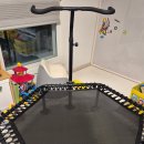 에스 바디 디자인 헬스클럽 | 멜킨 실내 트램폴린 다이어트 일상, 스마트 바디스케일로 체크하기