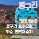 동구리 저수지 위 공원 | 광주 근교 가족 나들이 추천 화순 동구리 호수공원 만연저수지 벛꽃 근황과 주차정보