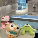 사랑니 4개 뽑고 하나도 안 부은 사람이 있다?! 연세사랑니치과의원 후기