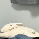 홈플러스조치원점 롯데리아 | 행복에 치인 한 달간의 행방.