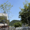 고양 쥬쥬랜드 입장권, 일산 돌아기 가볼만한 솔직후기!