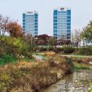 양재점현대자동차 이미지