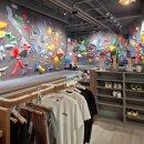 울산 삼산 월담클라이밍 첫 강습 후기 이색데이트