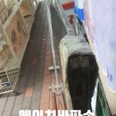 아지마트