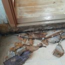 동부집수리