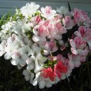 번영제2목장 이미지